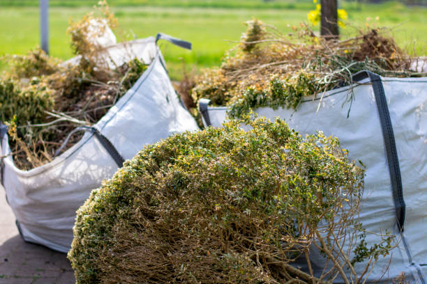 Best Retail Junk Removal  in Jeffersonville, KY